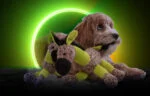 Jucărie de pluș pentru câini, măgăruș cu piuitor, galben, S – Retro Dog Donkey - imagine 4