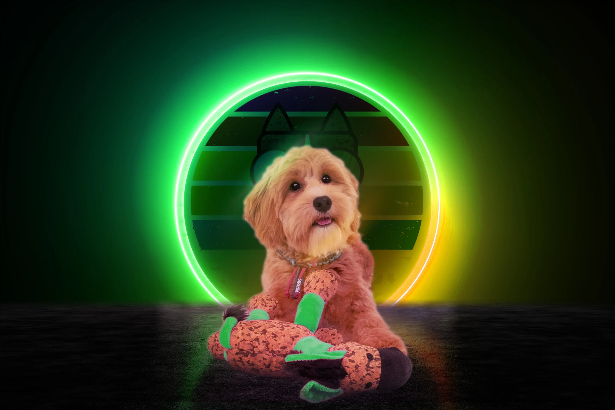 Jucărie de pluș pentru câini, măgăruș cu chițăitoare, Verde S – Retro Dog Donkey - imagine 3