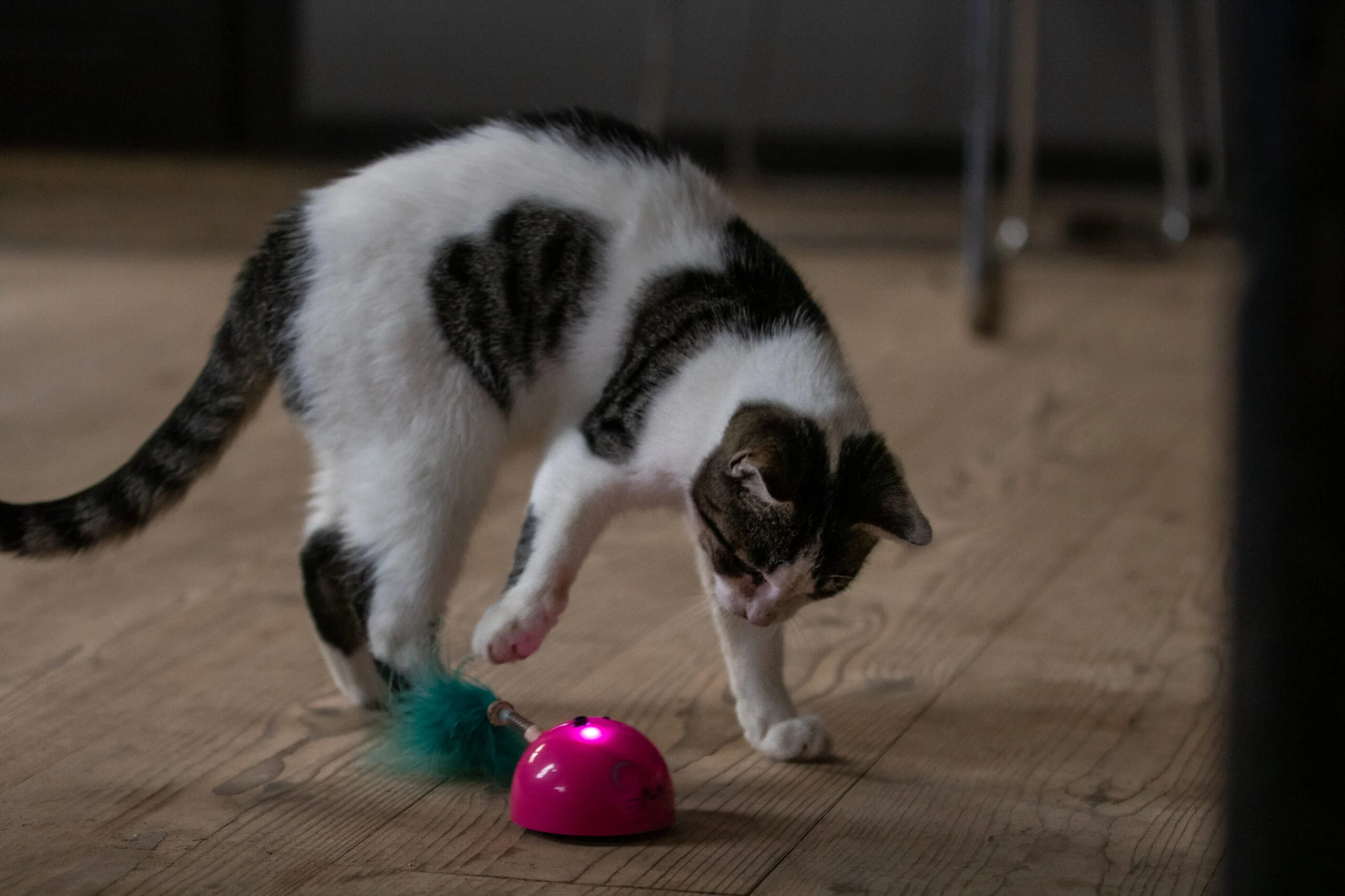 Șoricel de jucărie cu senzor de mișcare și madnip, roz – Robocat Mouse - imagine 5