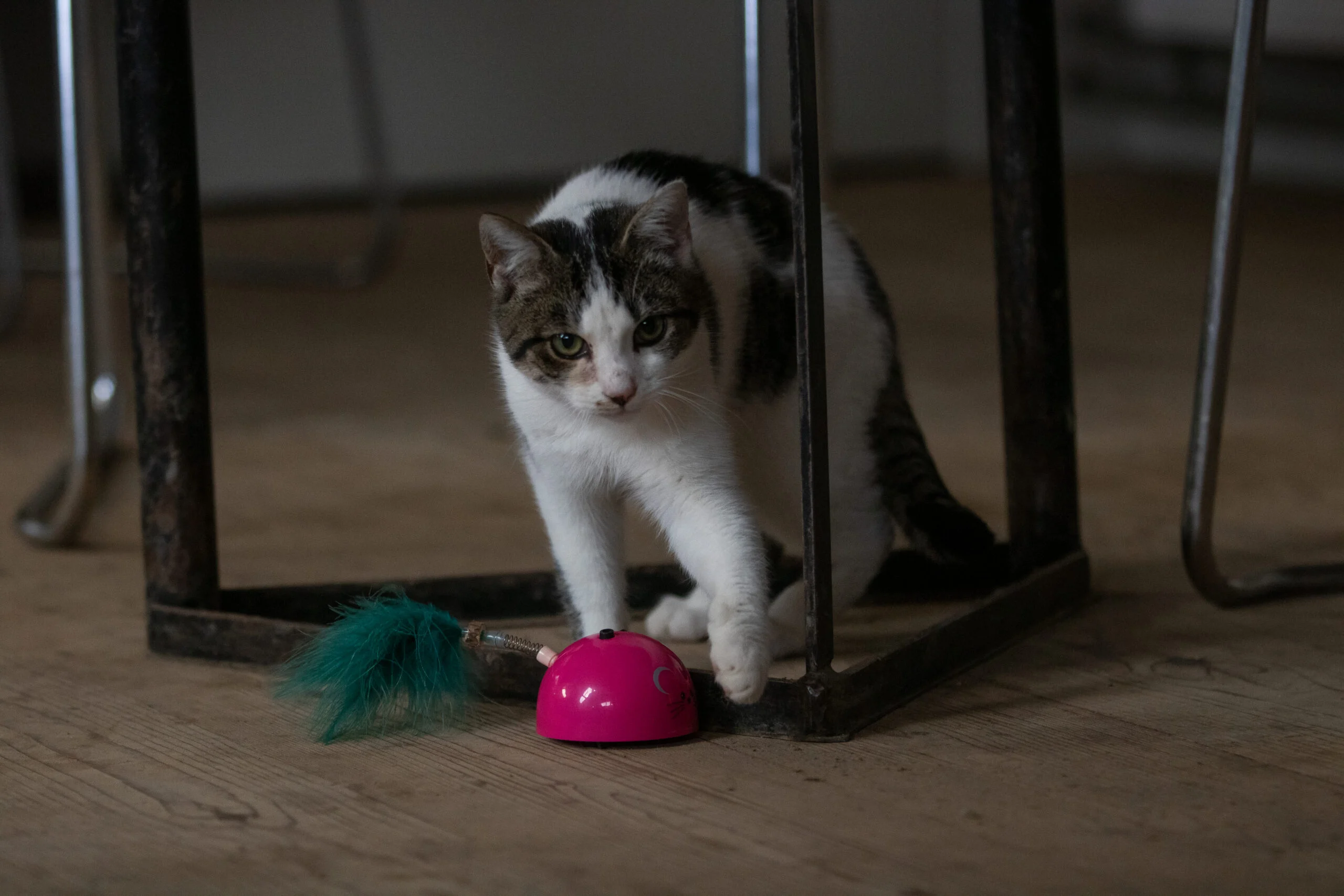 Șoricel de jucărie cu senzor de mișcare și madnip, roz – Robocat Mouse - imagine 4