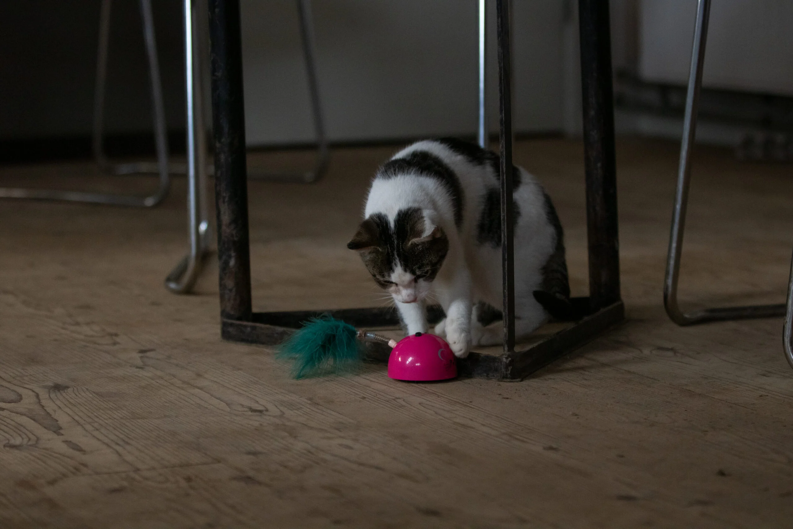 Șoricel de jucărie cu senzor de mișcare și madnip, roz – Robocat Mouse - imagine 6