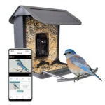 Hrănitoare pentru păsări cu cameră și panou solar, 1,5 l – Hofman Animal Care AI Bird Feeder