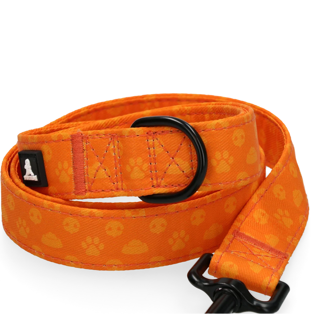 Lesă pentru câini cu inel în formă de D, 120 cm, portocalie – Spotted! Pro Perfect Leash - imagine 3