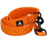 Lesă pentru câini cu inel în formă de D, 120 cm, portocalie – Spotted! Pro Perfect Leash - imagine 4