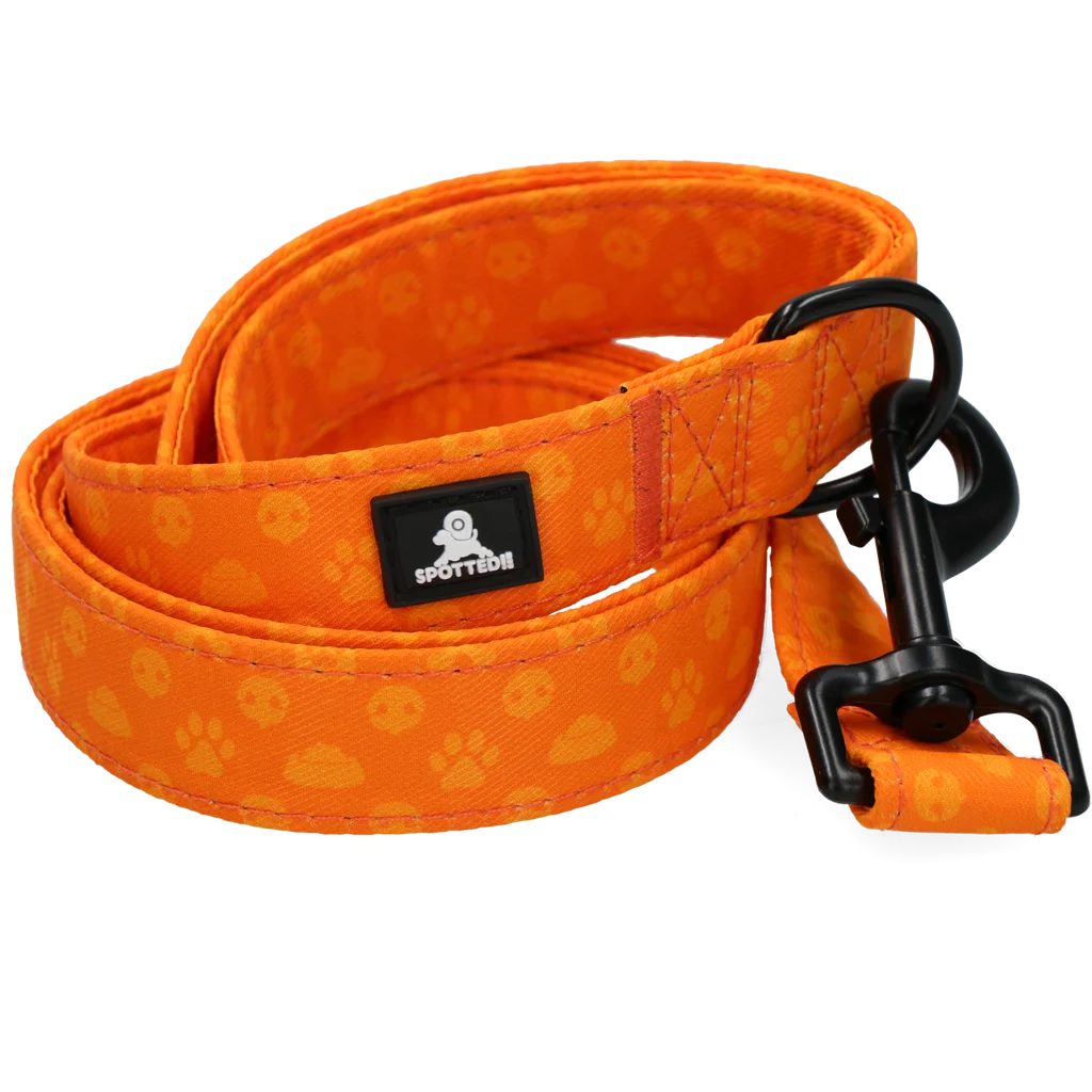Lesă pentru câini cu inel în formă de D, 120 cm, portocalie – Spotted! Pro Perfect Leash - imagine 4
