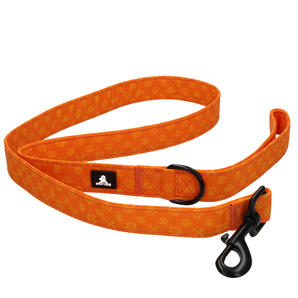 Lesă pentru câini cu inel în formă de D, 120 cm, portocalie – Spotted! Pro Perfect Leash - imagine 5