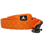 Lesă pentru câini cu inel în formă de D, 120 cm, portocalie – Spotted! Pro Perfect Leash - imagine 2