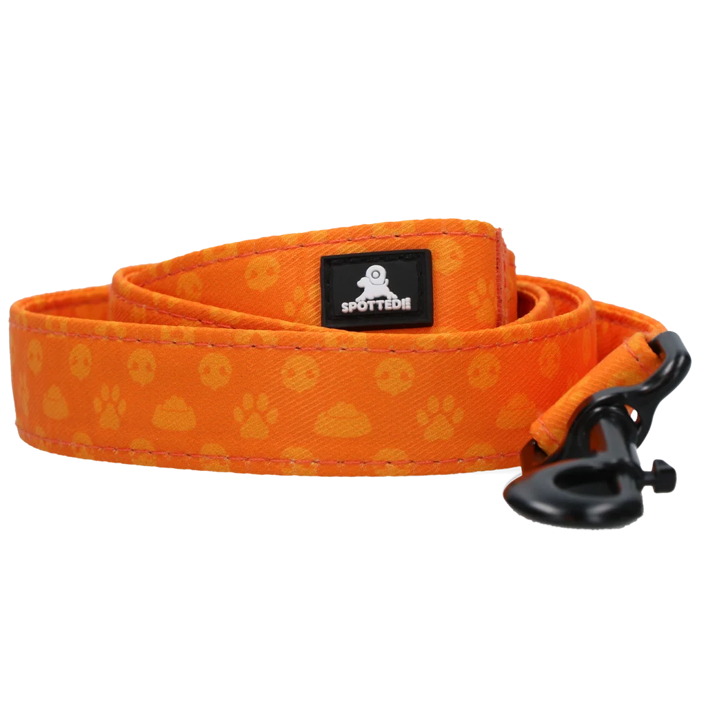 Lesă pentru câini cu inel în formă de D, 120 cm, portocalie – Spotted! Pro Perfect Leash - imagine 2