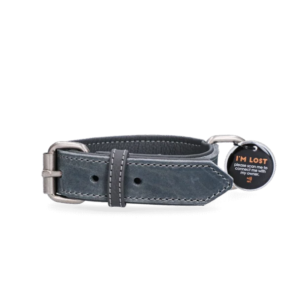 Zgardă din piele pentru câini cu medalion digital, 50 cm, gri – Spotted! Pro