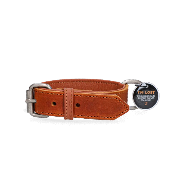 Zgardă din piele pentru câini cu medalion digital, 55 cm, Cognac – Spotted! Pro