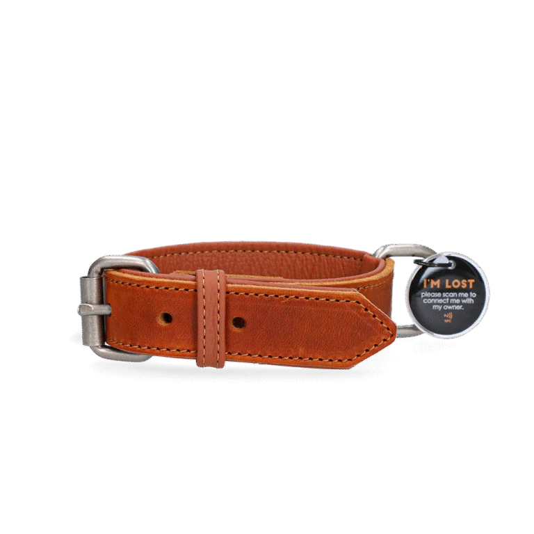 Zgardă din piele pentru câini cu medalion digital, 55 cm, Cognac – Spotted! Pro