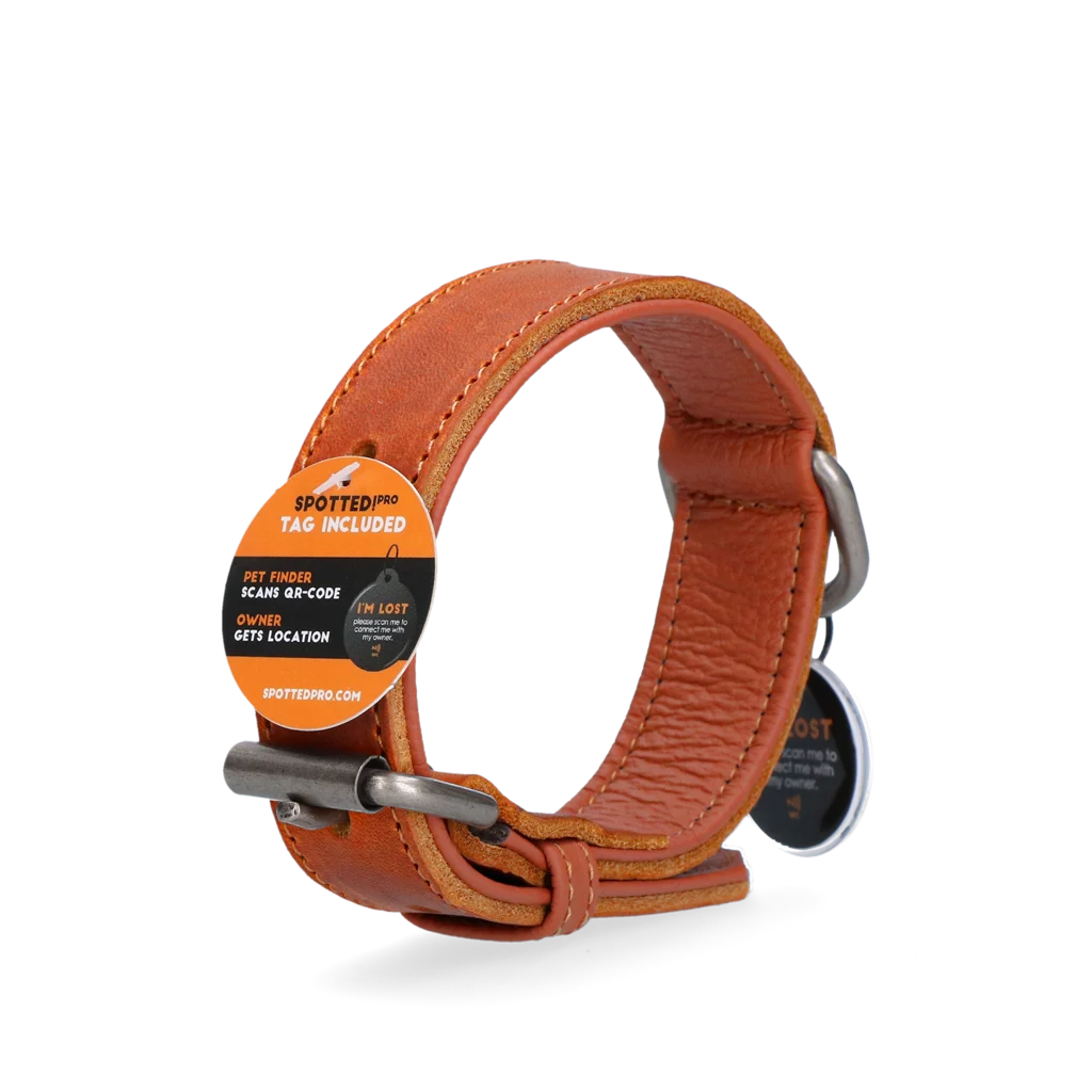 Zgardă din piele pentru câini cu medalion digital, 55 cm, Cognac – Spotted! Pro - imagine 3