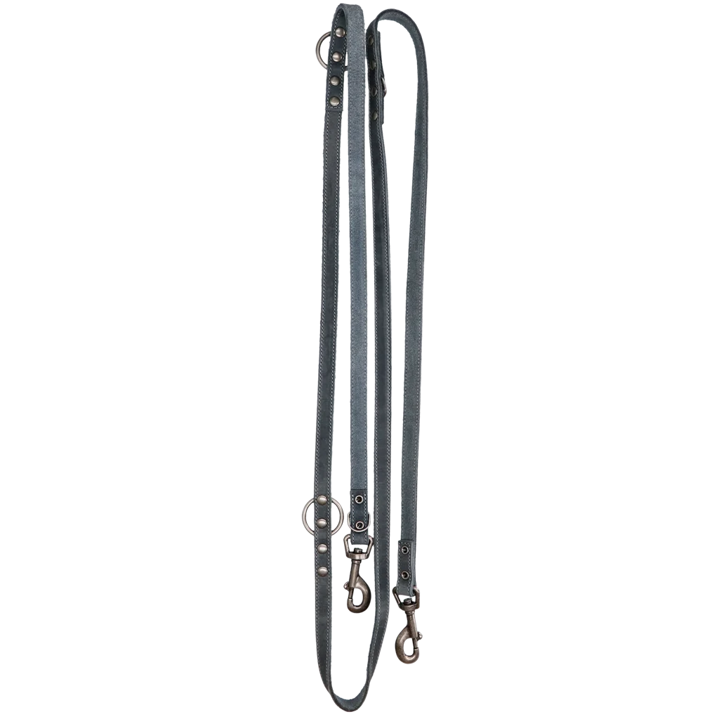 Lesă de dresaj din piele pentru câini, gri, 250 cm x 16 mm – Spotted! Pro - imagine 1