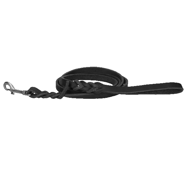 Lesă de prezentare din piele pentru câini, cu carabină, neagră, 180 cm x 12 mm – Spotted! Pro