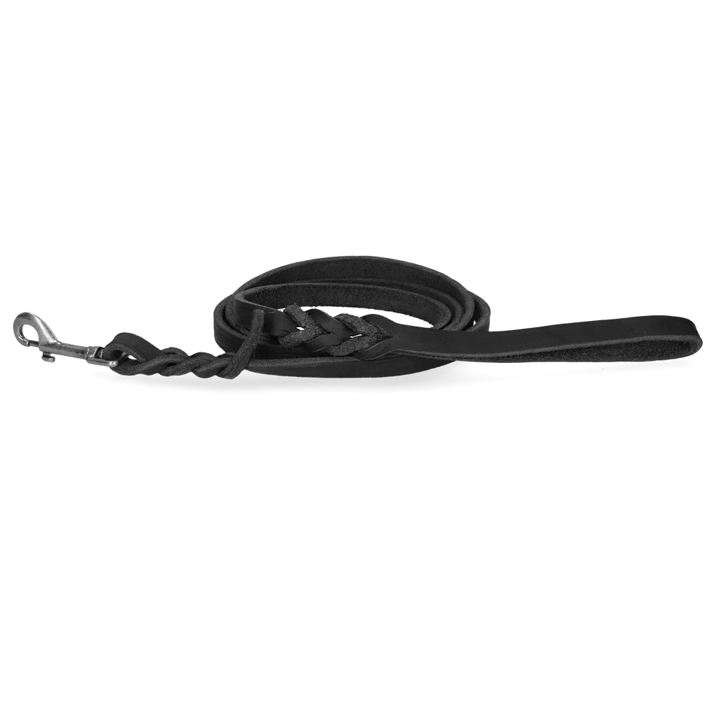 Lesă de prezentare din piele pentru câini, cu carabină, neagră, 180 cm x 16 mm – Spotted! Pro - imagine 1