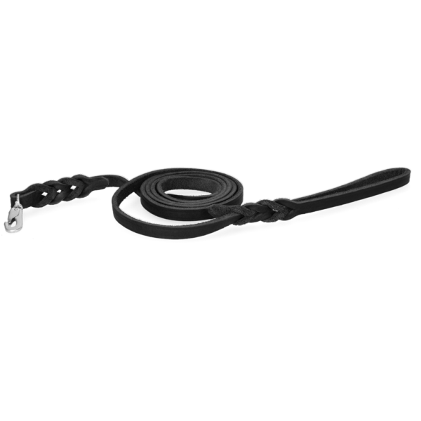 Lesă de prezentare din piele pentru câini, cu carabină, neagră, 180 cm x 12 mm – Spotted! Pro