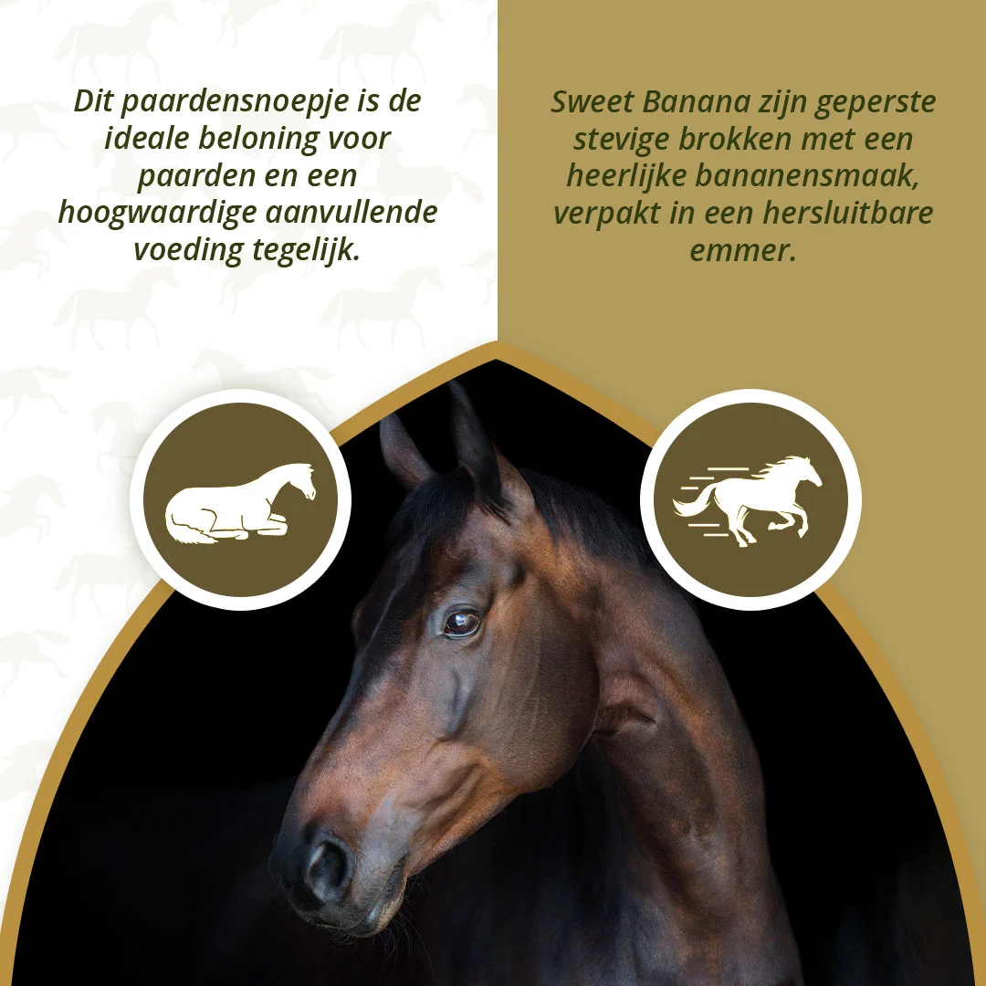 Recompense pentru cai cu banană, conținut redus de zahăr, 3 kg – Excellent Horse Sweet Blocks - imagine 4