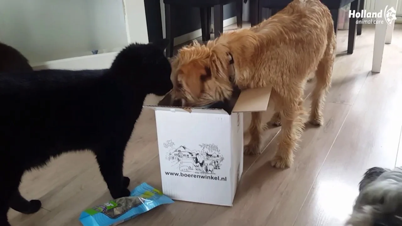 Recompensă de ros din piele de bivol cu miel și pește, 21 cm, 6 bucăți – Braaaf Rawhide Twister - imagine 5