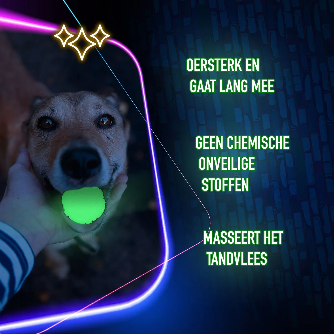 Jucărie în formă de os pentru câini, luminoasă – 2 Glow Cracking & Tracking Bone - imagine 6