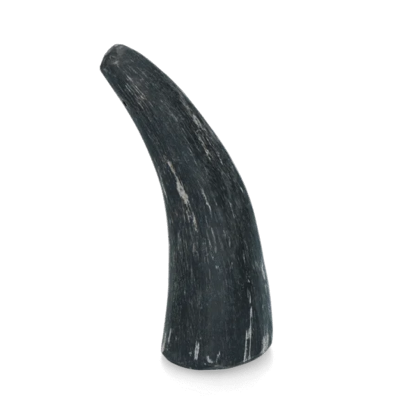 Corn de vită pentru câini de 1 t/m 4 kg – Viking Horn Whole S