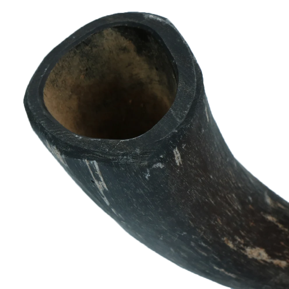 Corn de vită pentru câini de 1 t/m 4 kg – Viking Horn Whole S - imagine 3