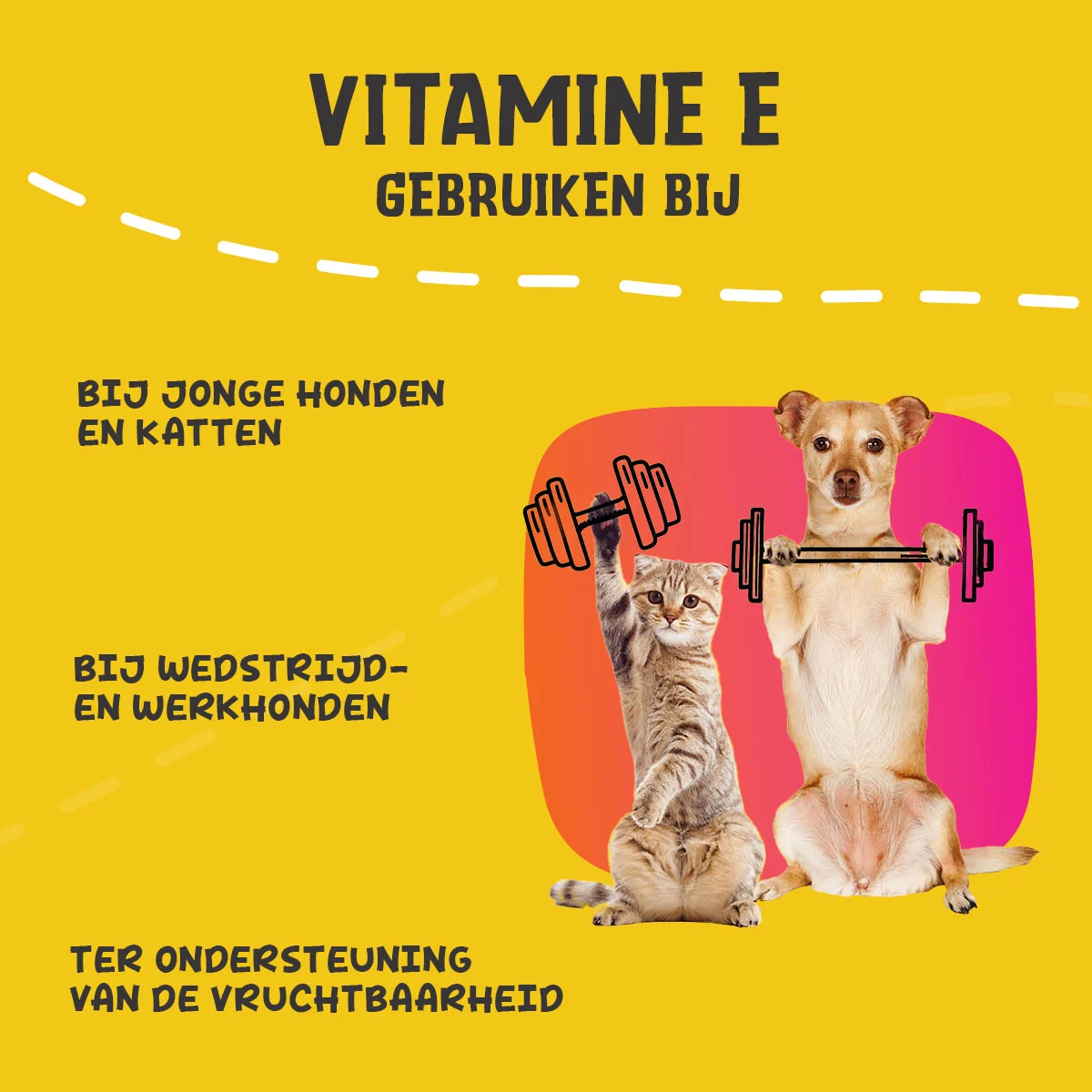 Pudră suplimentară pentru câini și pisici cu vitamina E și seleniu, 250 g – Excellent Pets Vitamin E+ - imagine 6