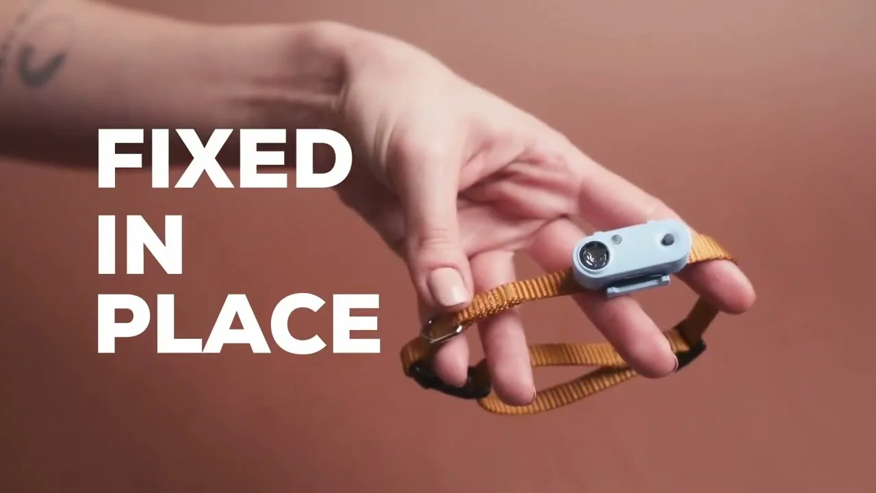 Dispozitiv cu ultrasunete împotriva căpușelor și puricilor pentru câini de talie mică, reîncărcabil, negru – Tickless Mini Dog - imagine 2