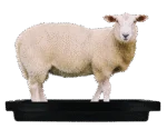 Baie pentru copite de ovine, conectabilă, 120 x 40 x 18 cm - imagine 6