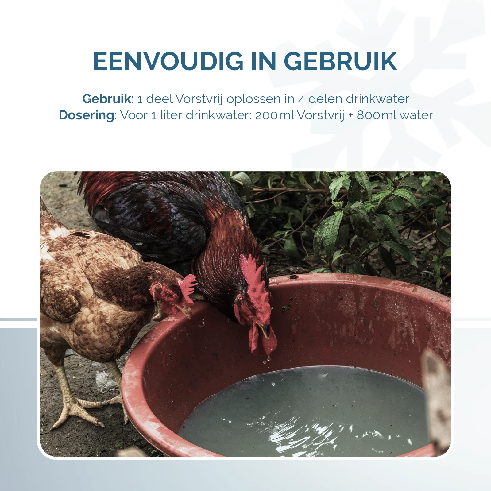 Aditiv pentru apa de băut a găinilor pe timp de ger, 1 l – Excellent Vorstvrij - imagine 3