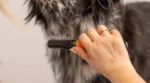 Pieptene pentru descurcarea blănii câinilor, cu dinți curbați din oțel inoxidabil – Wahl Dematter - imagine 2