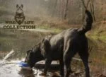 Jucărie de pluș moale pentru câini, cu frânghie pentru tras și chițăitoare – colecția Wild Life, Wild Life Dog Eend - imagine 5
