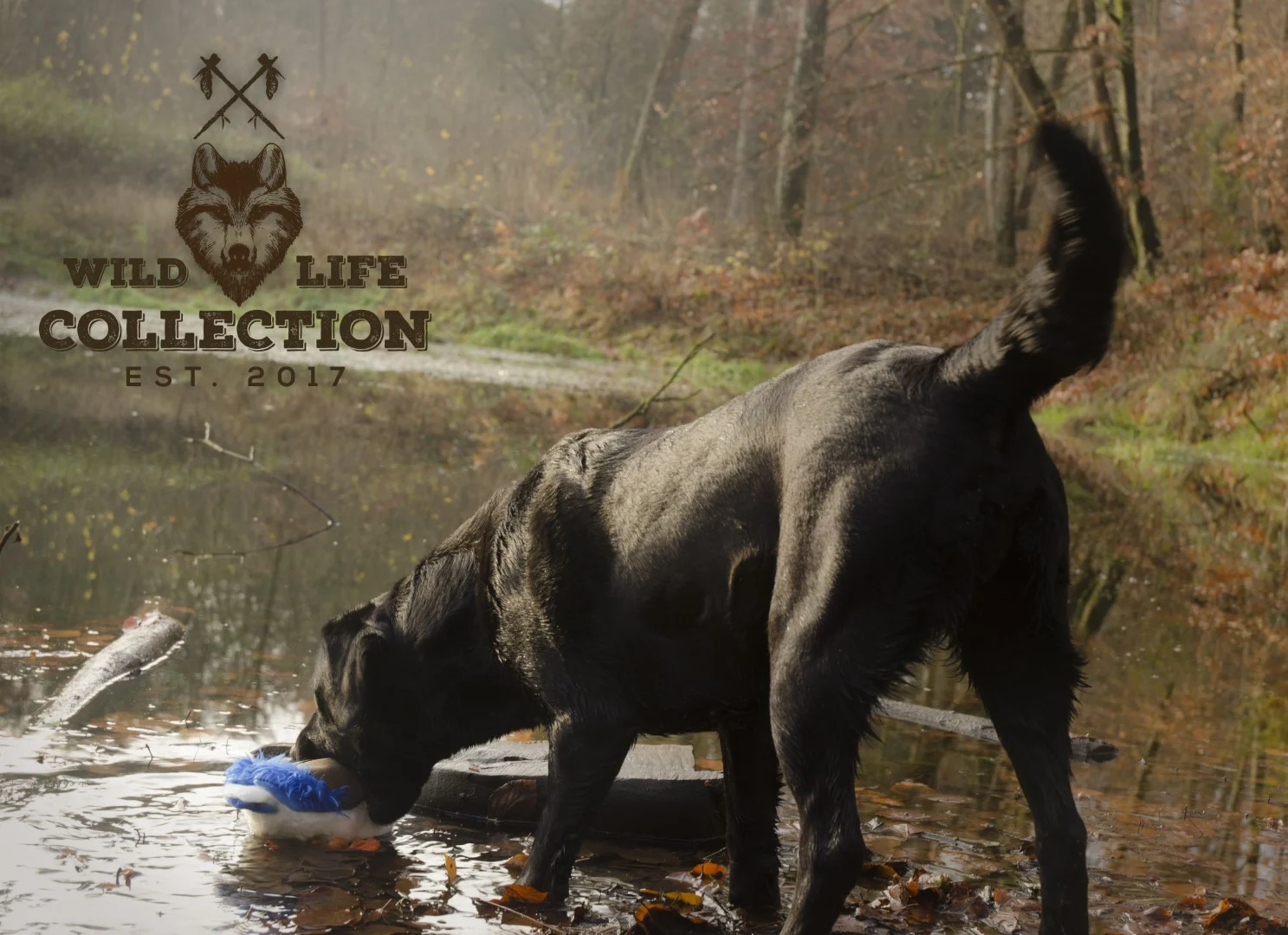 Jucărie de pluș moale pentru câini, cu frânghie pentru tras și chițăitoare – colecția Wild Life, Wild Life Dog Eend - imagine 5