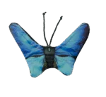 Fluture de jucărie pentru pisici, cu iarbă mâței – Wild Life Collection Cat Blauwe Vlinder - imagine 2