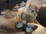 Fluture de jucărie pentru pisici, cu iarbă mâței – Wild Life Collection Cat Blauwe Vlinder - imagine 3