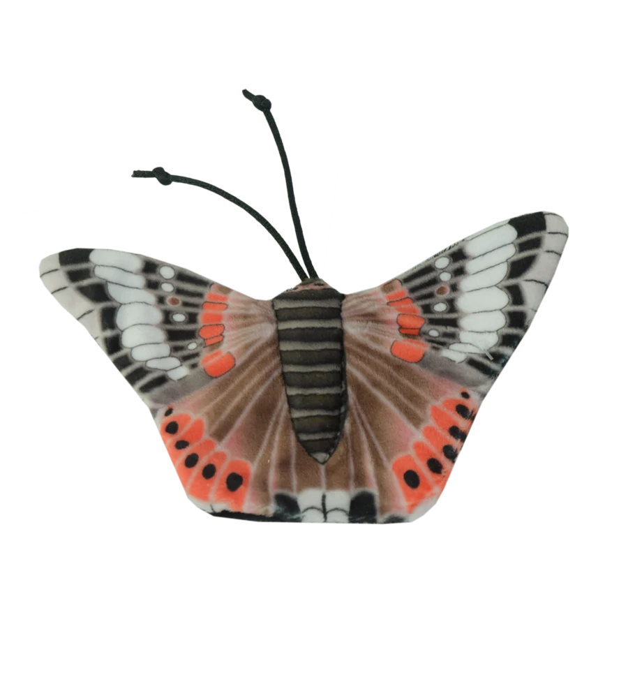 Fluture de joacă pentru pisici cu iarba-mâței – Wild Life Collection Cat, fluture amiral - imagine 2