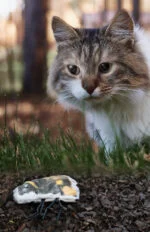 Jucărie pentru pisici în formă de bondar, cu iarbă-mâței – Wild Life Collection Cat Hommel - imagine 3