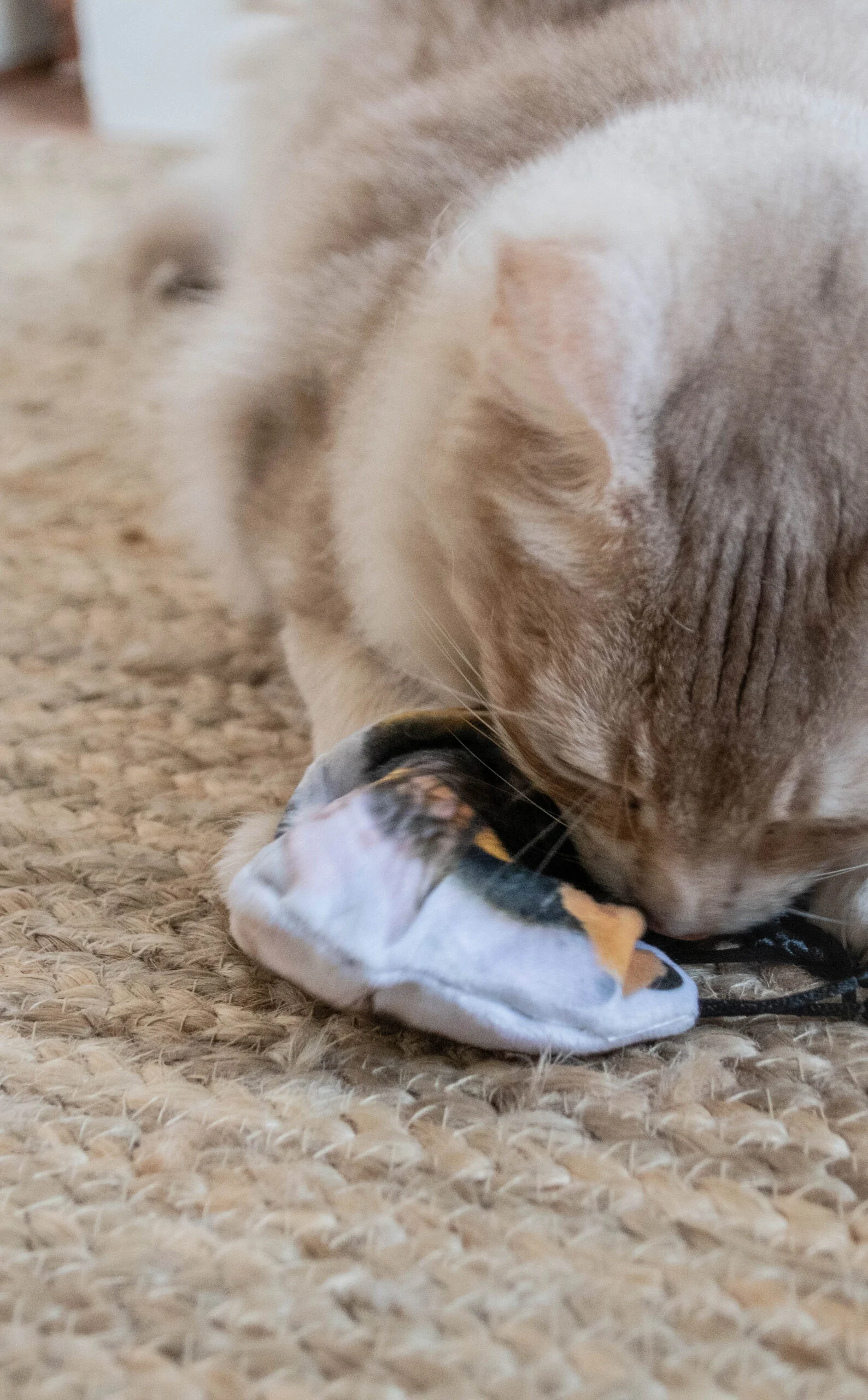Jucărie pentru pisici în formă de bondar, cu iarbă-mâței – Wild Life Collection Cat Hommel - imagine 4