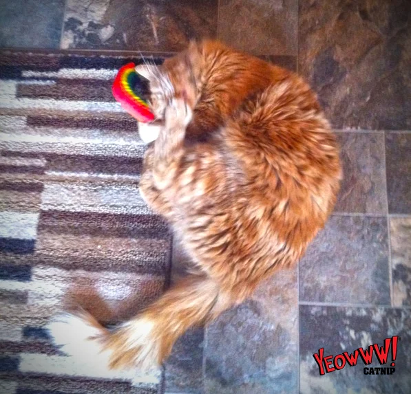 Jucărie pentru pisici în formă de curcubeu, cu catnip, 17,7 cm – Yeowww! Rainbow - imagine 2