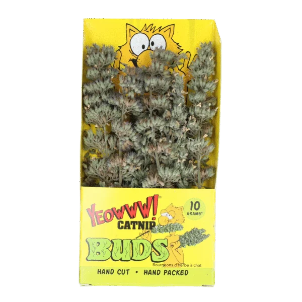 Tulpini de iarbă mâței 10 g, în pungă resigilabilă – Yeowww! Catnip Buds