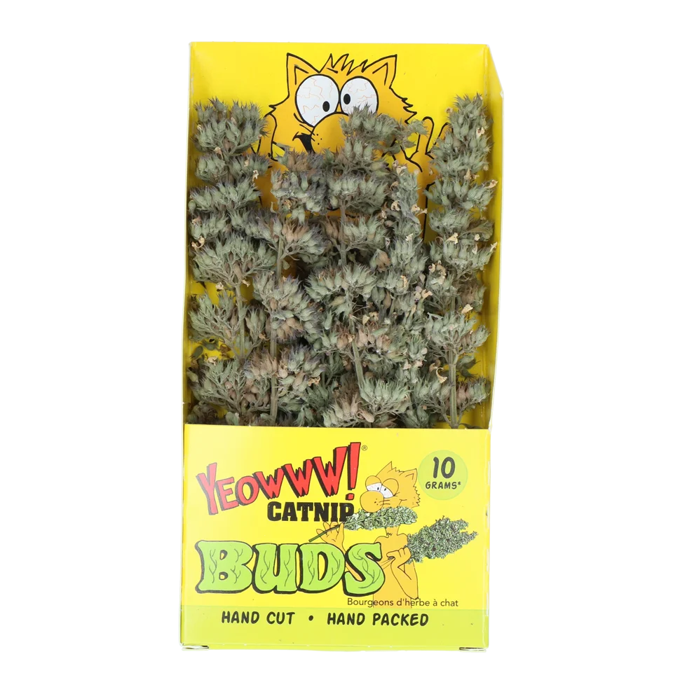 YEOW047.png Tulpini de iarbă mâței 10 g, în pungă resigilabilă – Yeowww! Catnip Buds - imagine 1