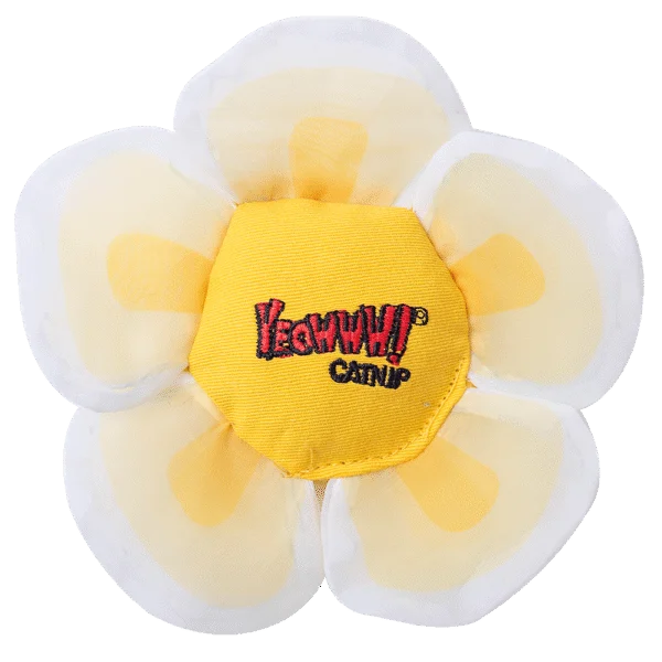Floare de joacă pentru pisici cu iarba mâței și petale foșnitoare, albă – Yeowww! Daisy's Flower Tops