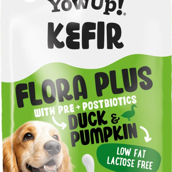 Gustare cu chefir pentru câini cu rață și dovleac – YowUp! Kefir