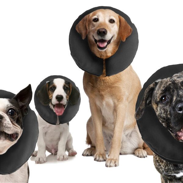 Guler de protecție pentru câini S, lavabil, 15,2 până la 22,9 cm – Zenpet ProCollar