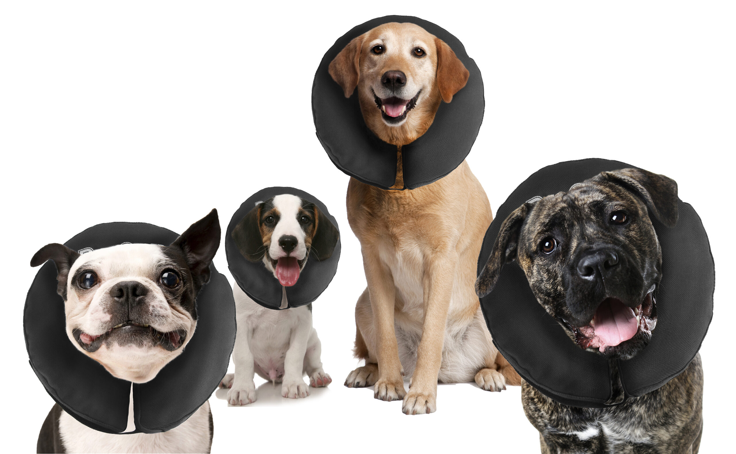 Beschermkraag voor Honden XL, Wasbaar, 40,6 tot 55,9 cm – Zenpet ProCollar Guler de protecție pentru câini XL, lavabil, 40,6 până la 55,9 cm – Zenpet ProCollar