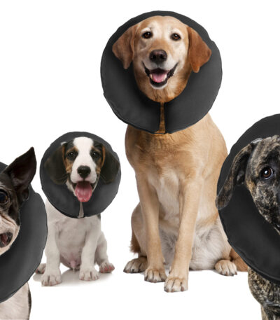 Guler de protecție pentru câini XXL, lavabil, >55,9 cm – Zenpet ProCollar