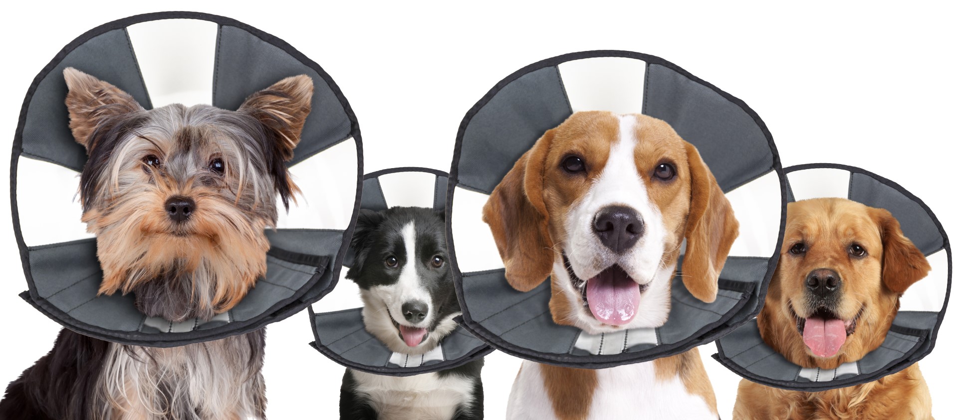 Beschermkraag Wasbaar, 20,3 tot 30,5 cm – Zenpet Procone S Guler de protecție lavabil, 20,3 până la 30,5 cm – Zenpet Procone S