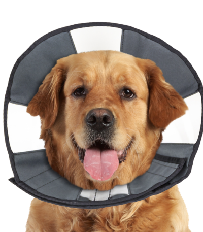 Guler de protecție lavabil, 45,7 până la 58,4 cm – Zenpet Procone XL