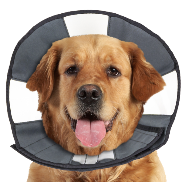Guler de protecție lavabil, 45,7 până la 58,4 cm – Zenpet Procone XL