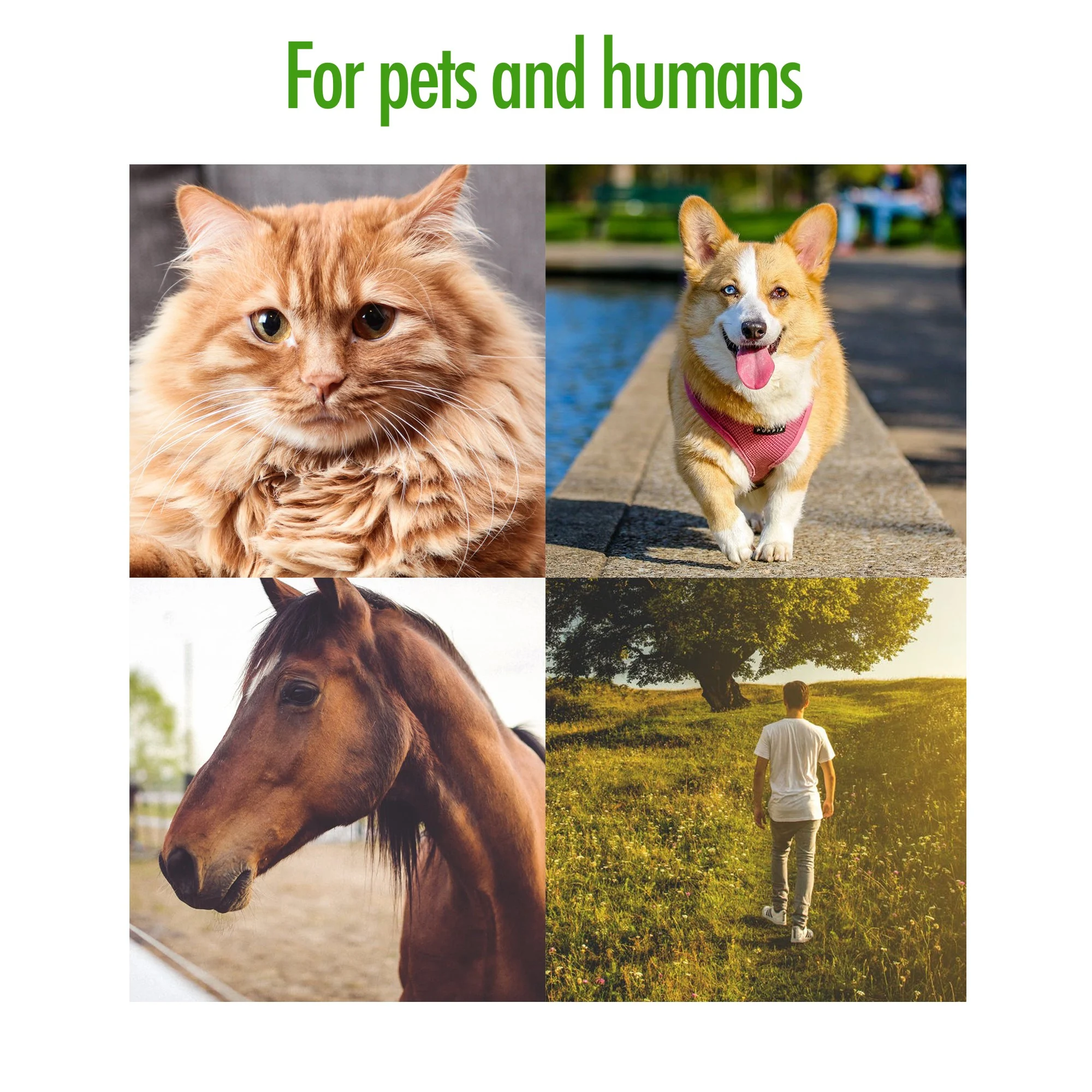 Pensetă pentru căpușe cu orificiu pentru breloc, 2 bucăți – Zenpet Tick Tornado - imagine 6