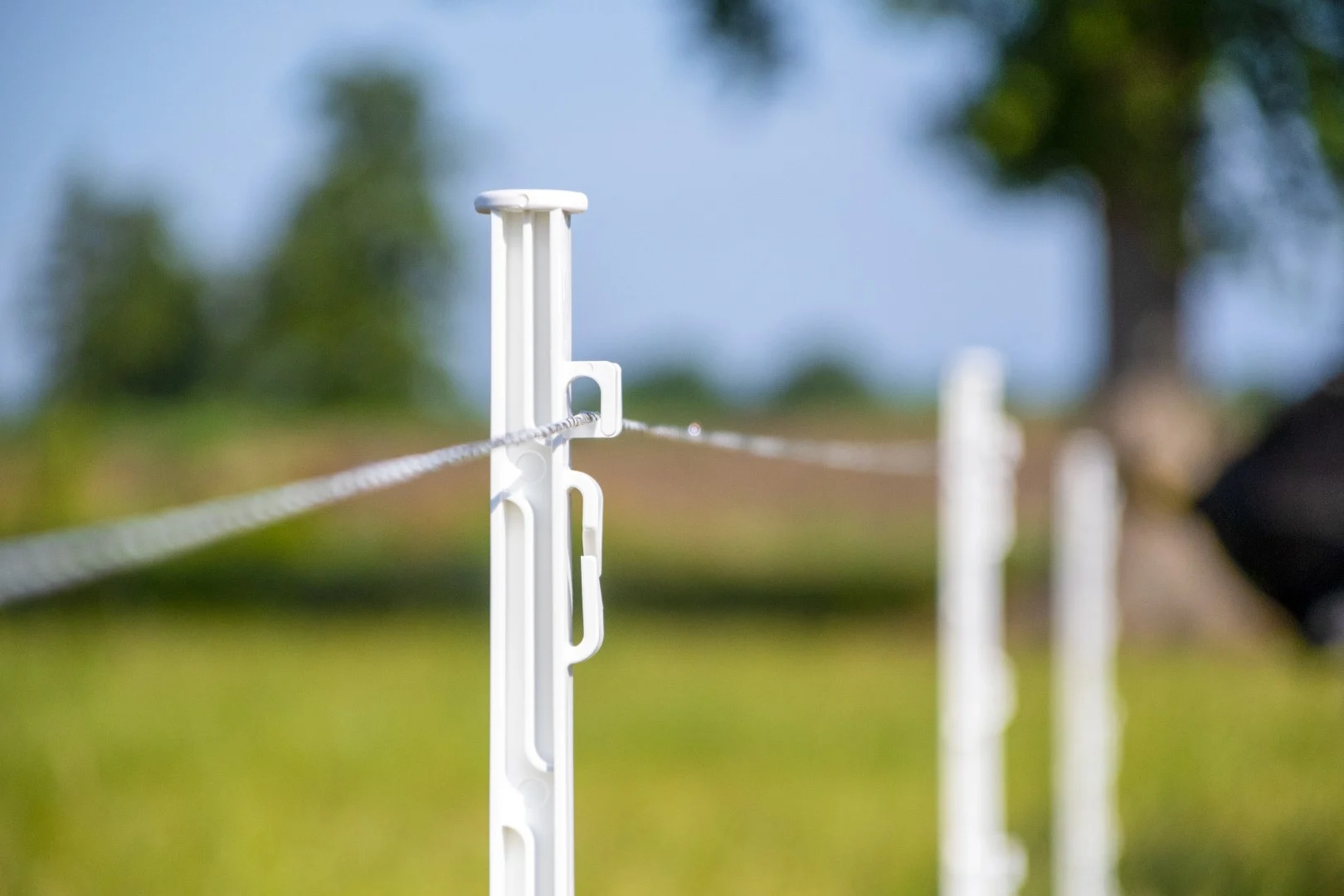 Fir pentru gard electric 3 mm, alb cu verde închis, 400 m – ZoneGuard Plus - imagine 3